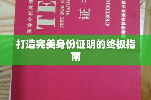 突泉打造完美身份证明的终极指南