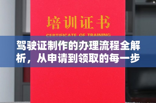 突泉驾驶证制作的办理流程全解析，从申请到领取的每一步