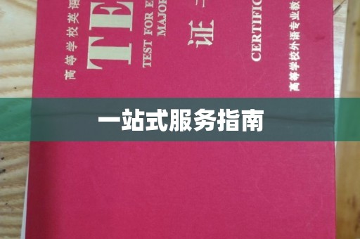 突泉一站式服务指南