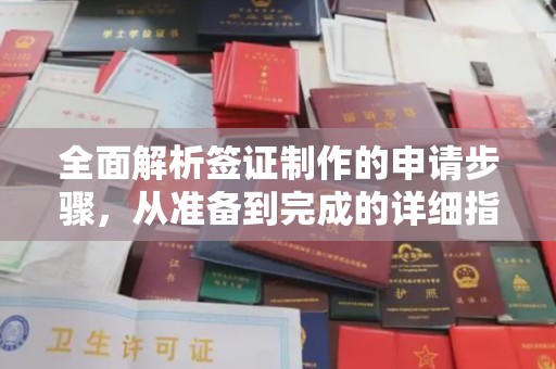 突泉全面解析签证制作的申请步骤，从准备到完成的详细指南
