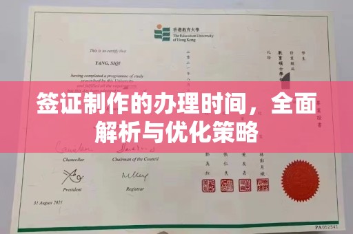 突泉签证制作的办理时间，全面解析与优化策略