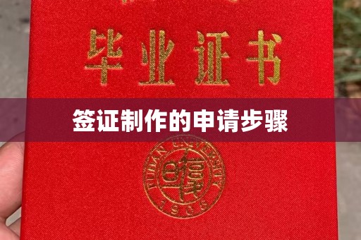 突泉签证制作的申请步骤