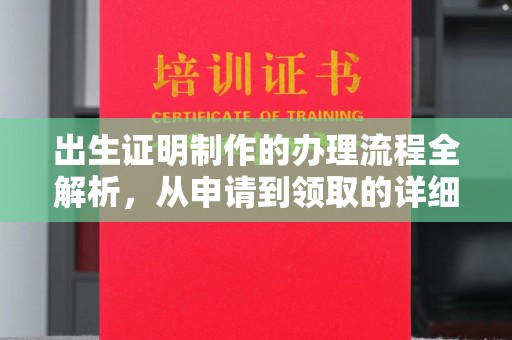 突泉出生证明制作的办理流程全解析，从申请到领取的详细指南