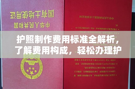 突泉护照制作费用标准全解析，了解费用构成，轻松办理护照